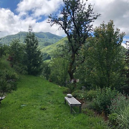 Au Rocher De Combieres Mandailles-Saint-Julien Buitenkant foto